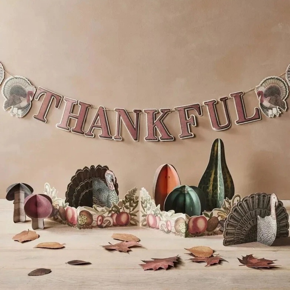 John Derian Target Thanksgiving Fall Paper Decor Set 51 pieces NIB Unopened - Picture 2 of 6